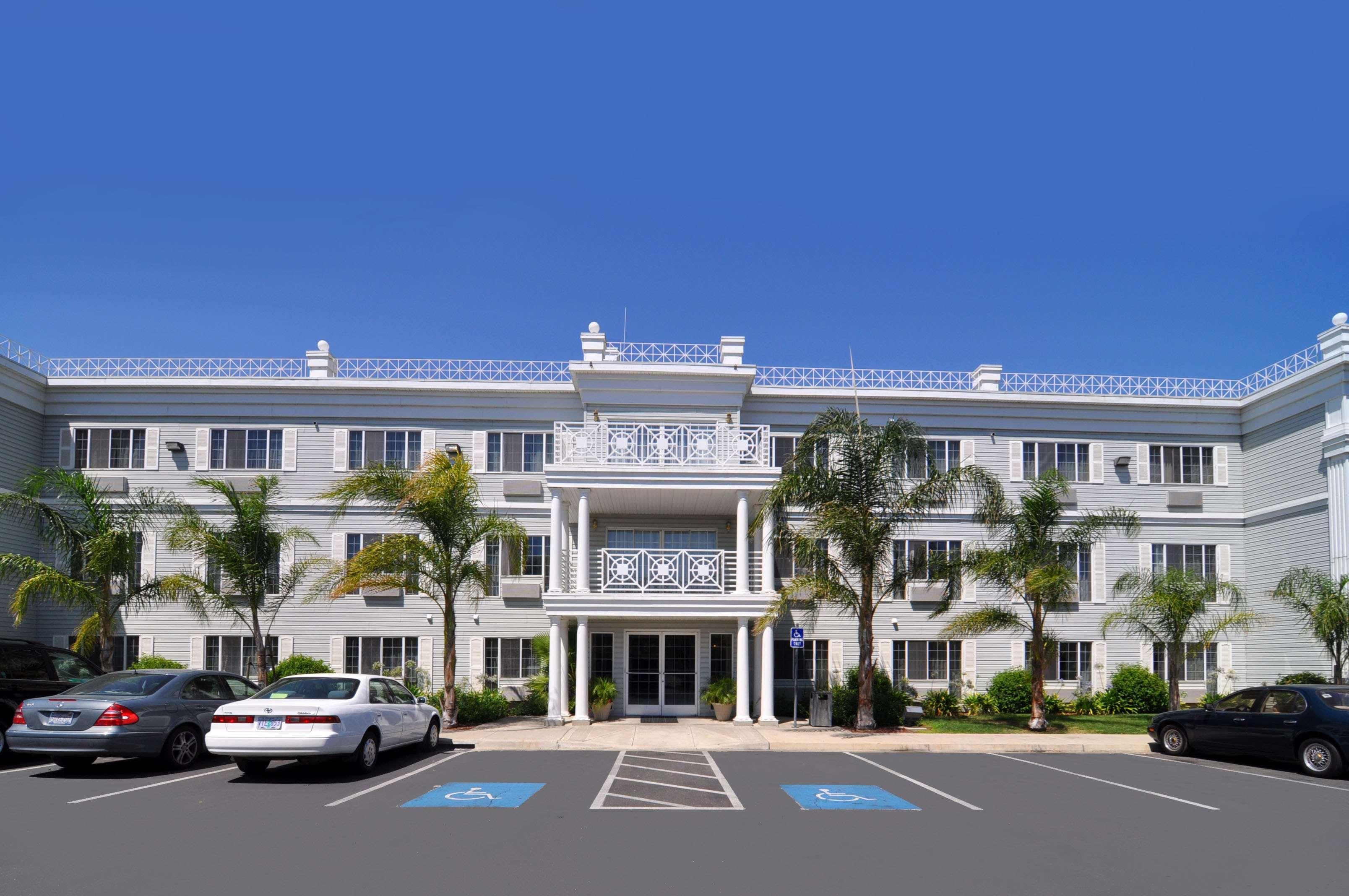 Western Luxury Tracy